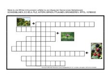 Herbst-Monatsrätsel-1.pdf